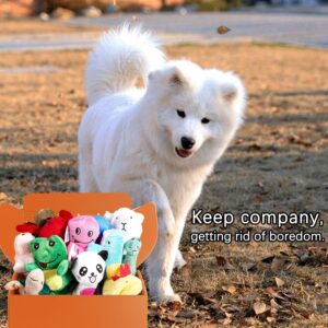 LEGEND SANDY Squeaky Plush Dog Toy Pack for Puppy, Small Stuffed Puppy Chew Toys 12 Dog Toys